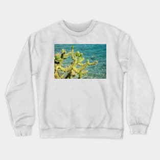 Prickly. Crewneck Sweatshirt